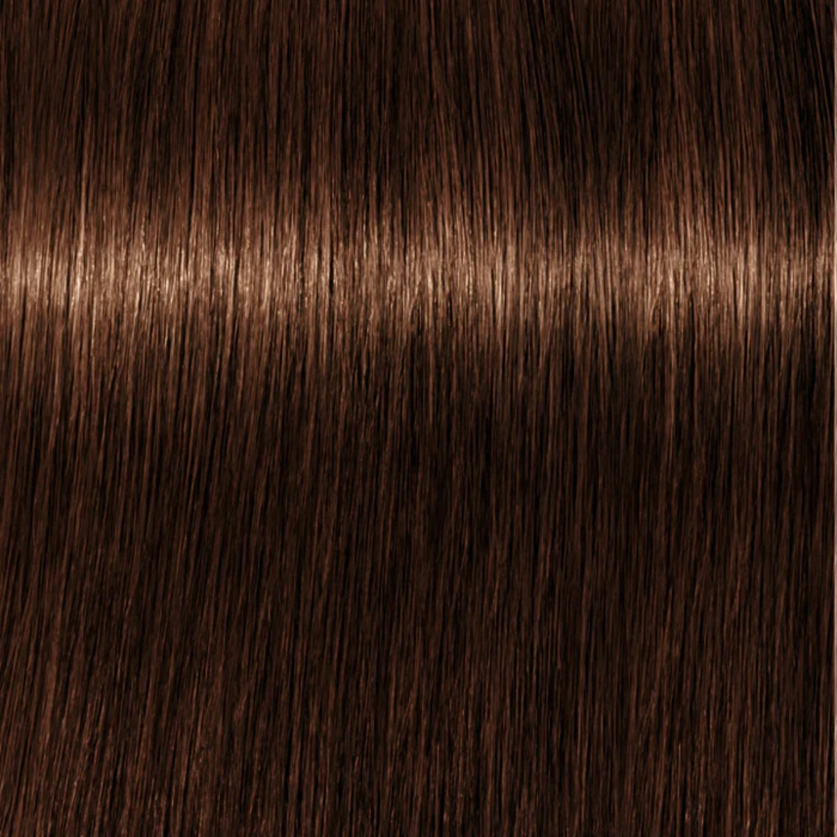 Schwarzkopf Igora Royal Tinte Profesional Permanente 60 ml
