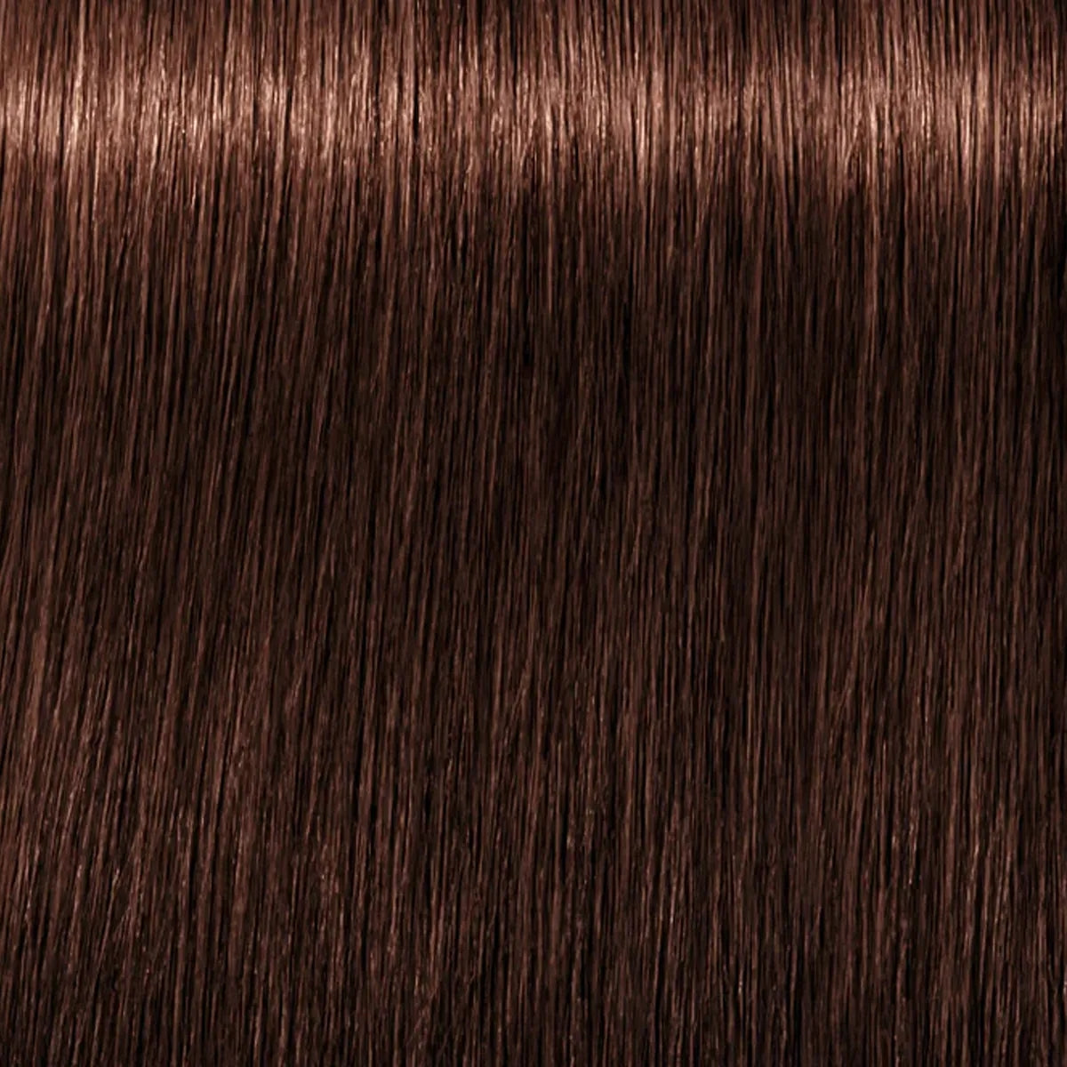 Schwarzkopf Igora Royal Tinte Profesional Permanente 60 ml