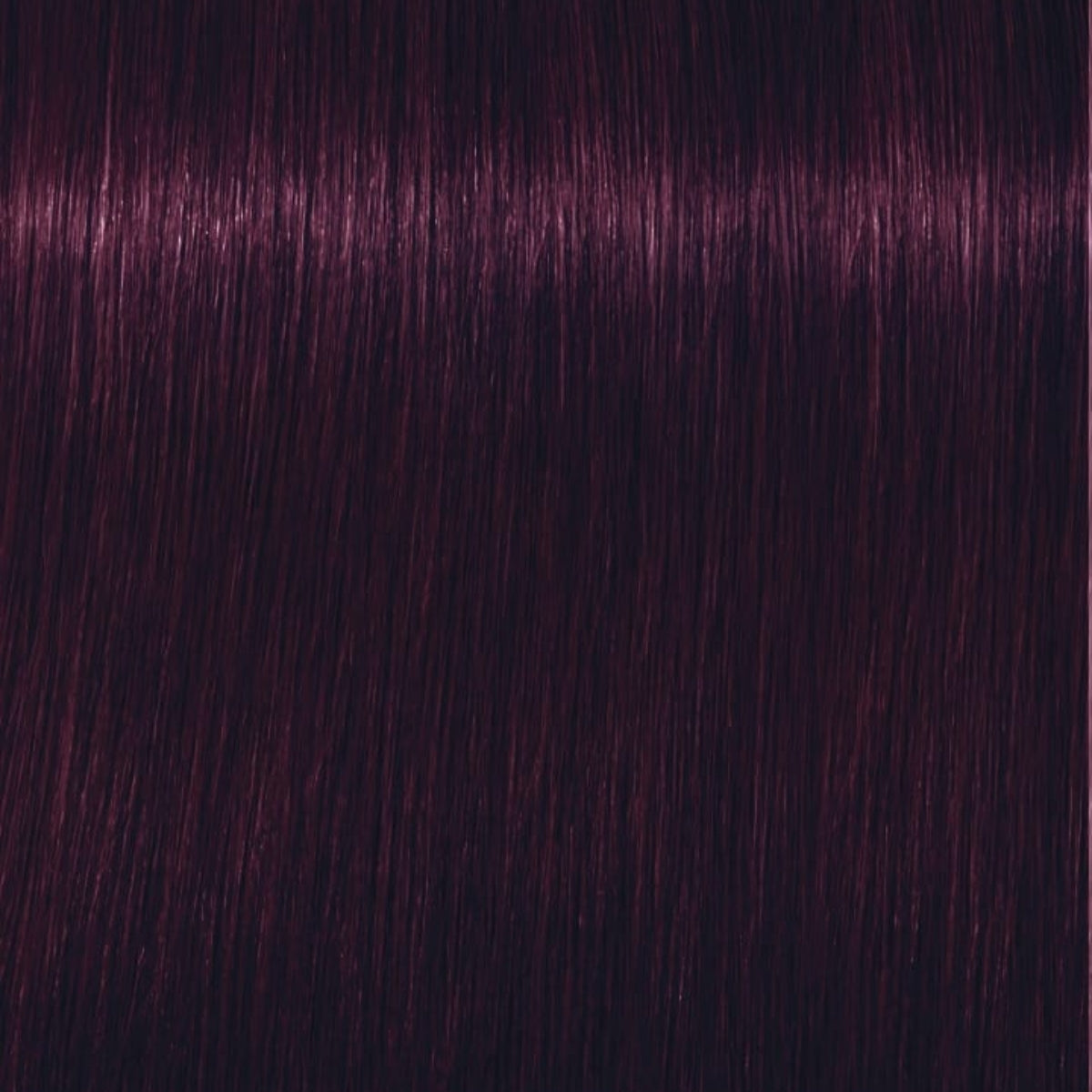 Schwarzkopf Igora Royal Tinte Profesional Permanente 60 ml