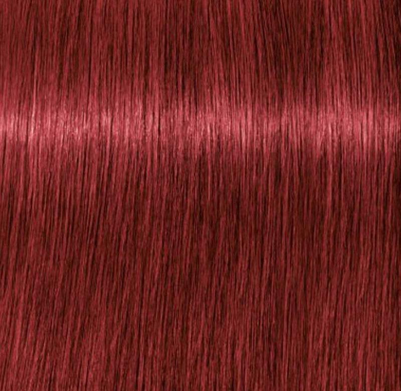 Schwarzkopf Igora Royal Tinte Profesional Permanente 60 ml