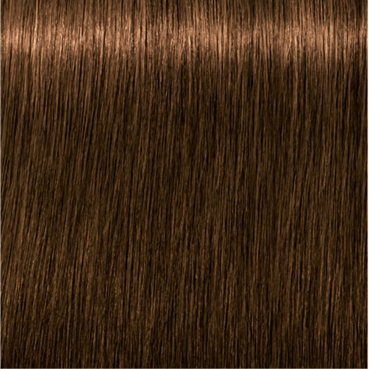 Schwarzkopf Igora Royal Absolutes Tinte Profesional Permanente 60 ml