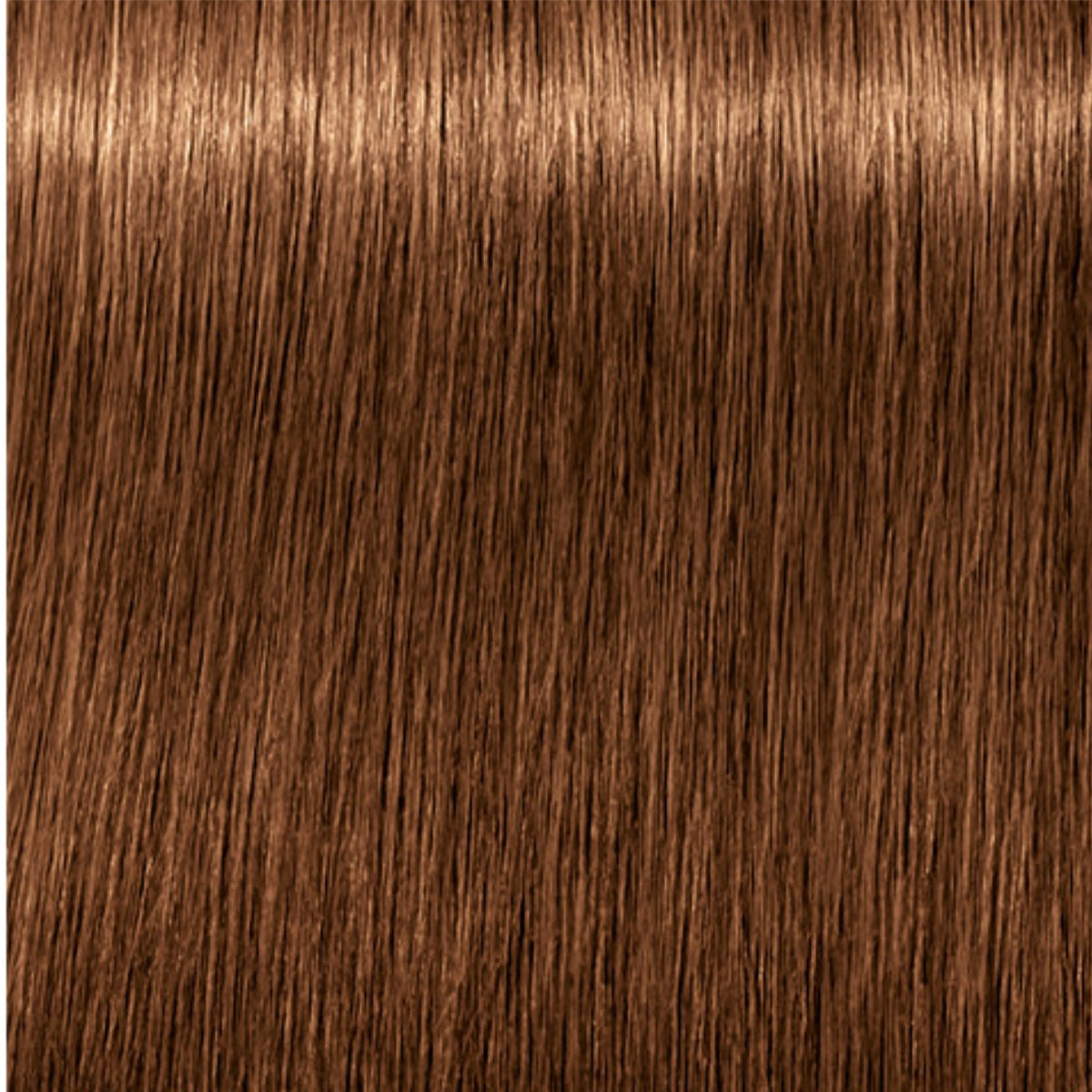 Schwarzkopf Igora Royal Absolutes Tinte Profesional Permanente 60 ml