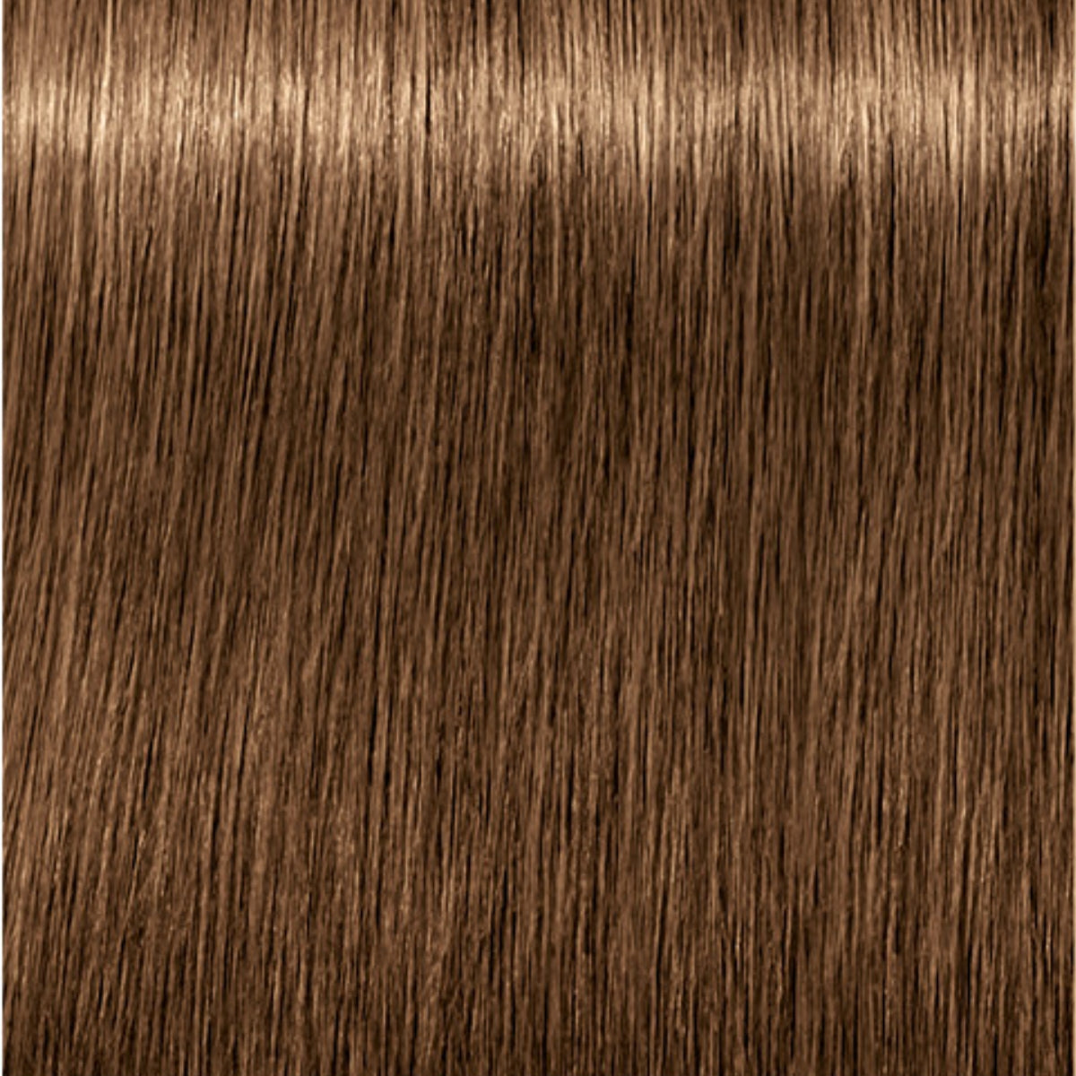 Schwarzkopf Igora Royal Absolutes Tinte Profesional Permanente 60 ml
