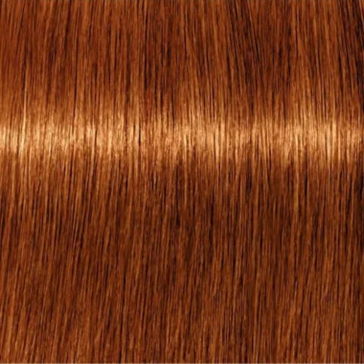 Schwarzkopf Igora Royal Absolutes Tinte Profesional Permanente 60 ml