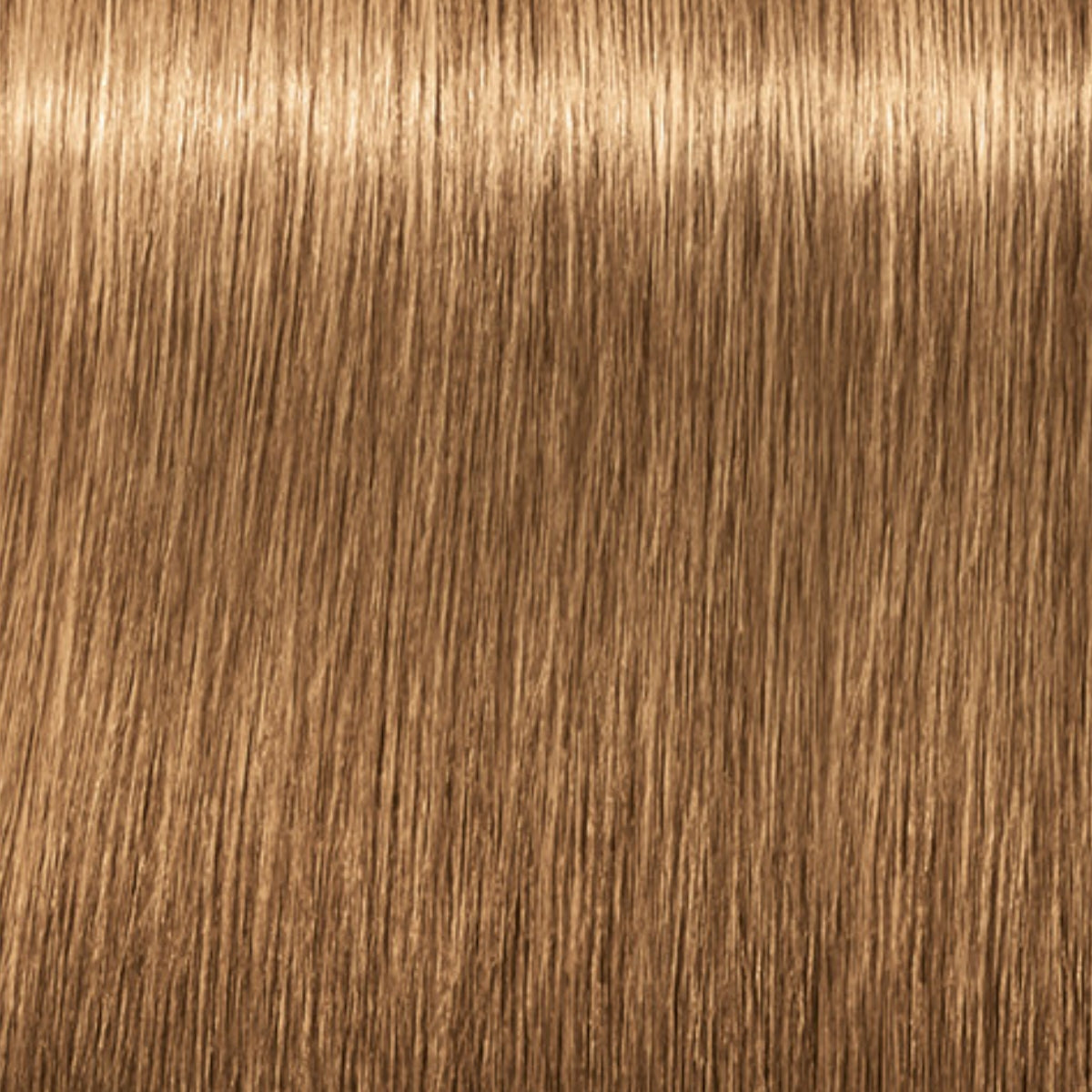 Schwarzkopf Igora Royal Absolutes Tinte Profesional Permanente 60 ml