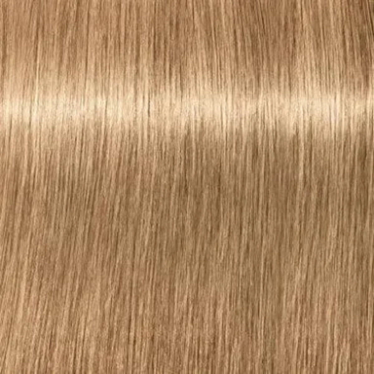 Schwarzkopf Igora Royal Absolutes Tinte Profesional Permanente 60 ml