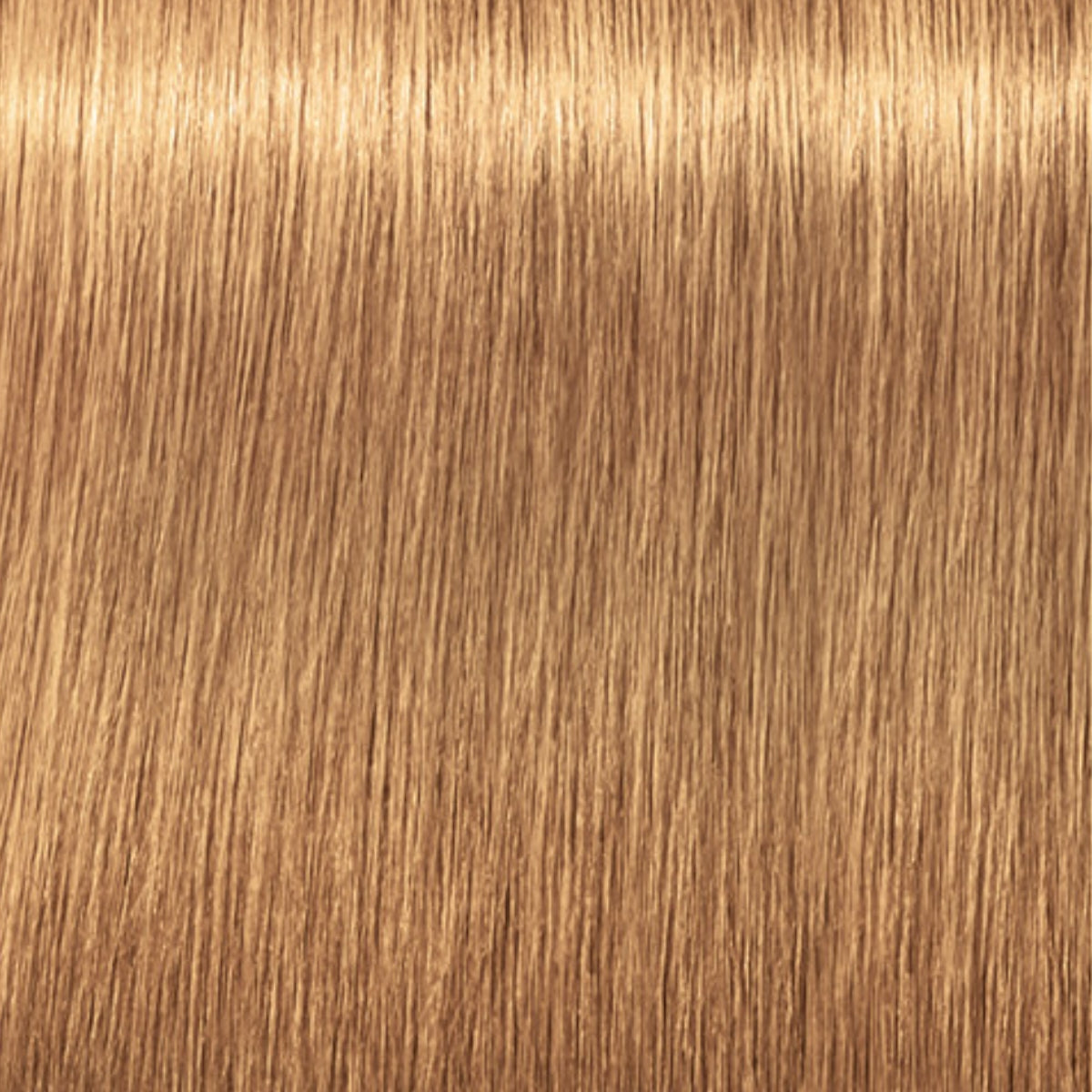 Schwarzkopf Igora Royal Absolutes Tinte Profesional Permanente 60 ml