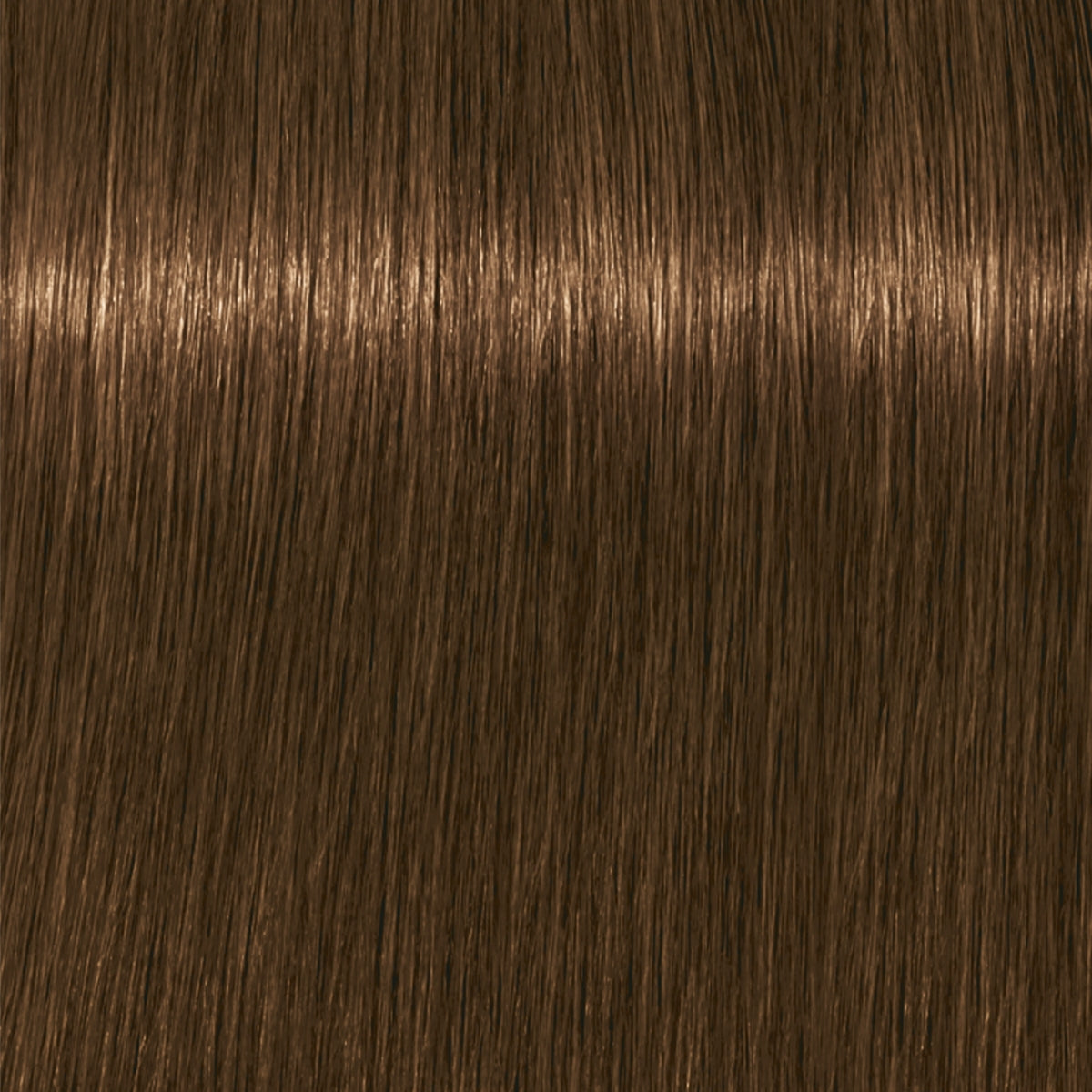 Schwarzkopf Igora Royal Absolutes Tinte Profesional Permanente 60 ml