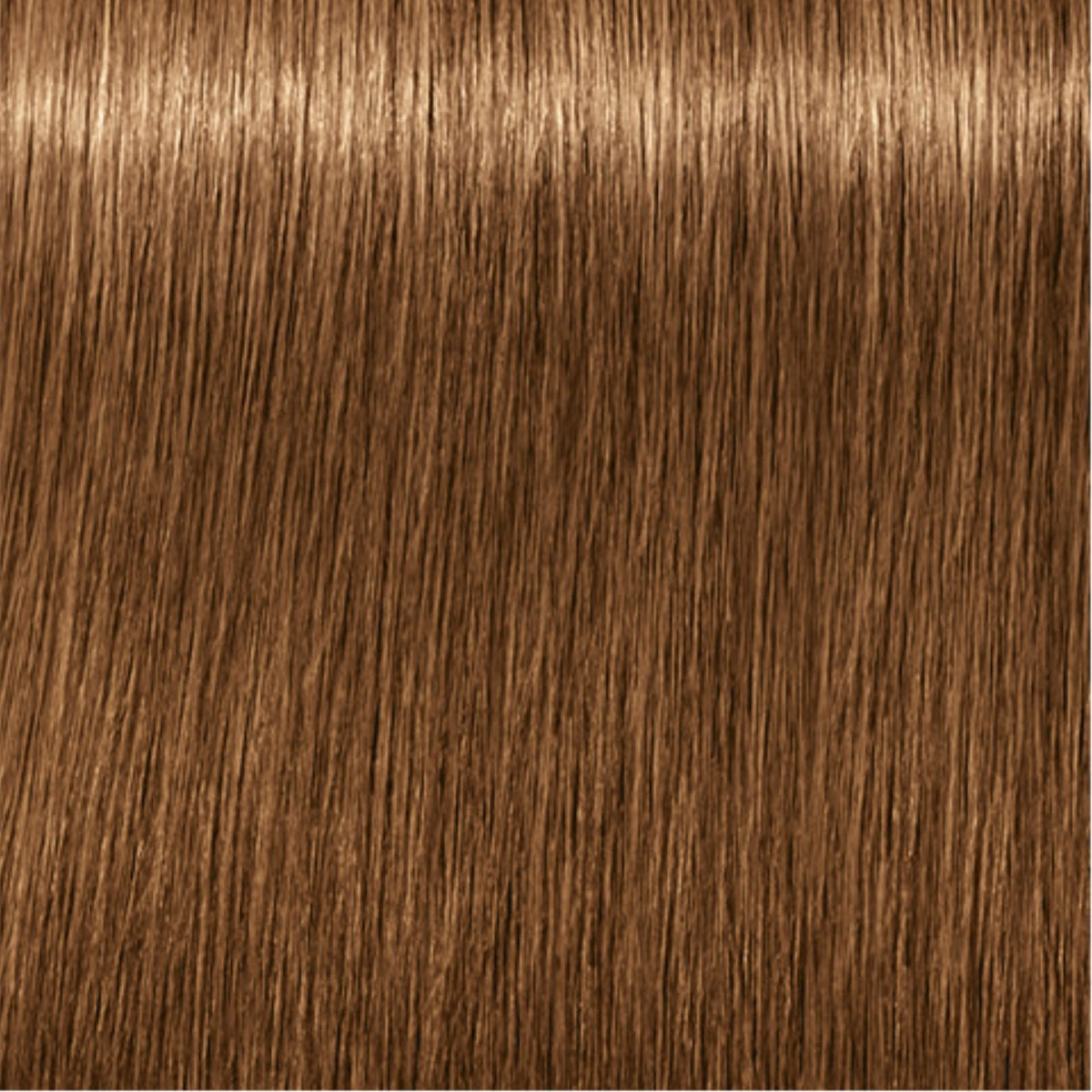 Schwarzkopf Igora Royal Absolutes Tinte Profesional Permanente 60 ml