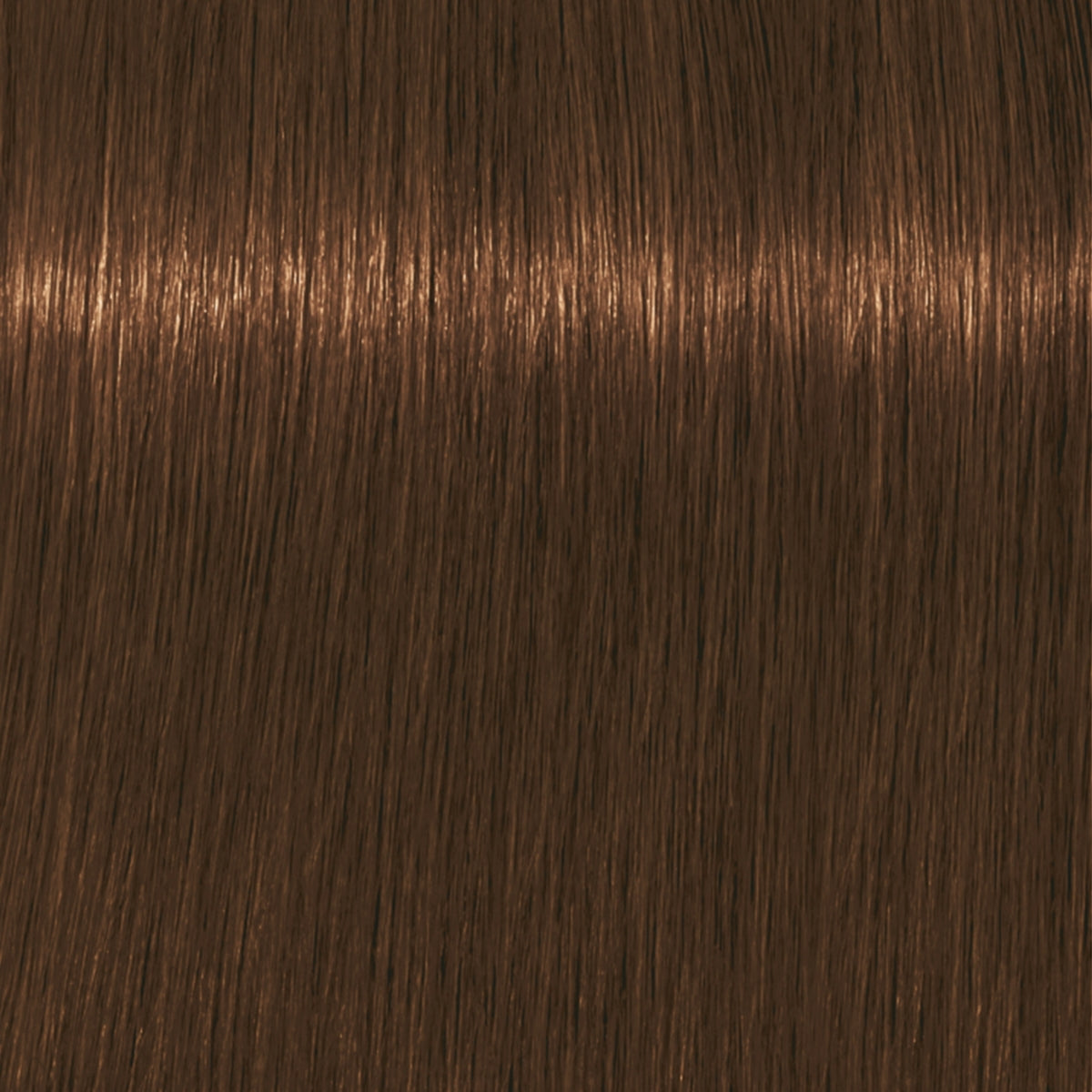 Schwarzkopf Igora Royal Absolutes Tinte Profesional Permanente 60 ml