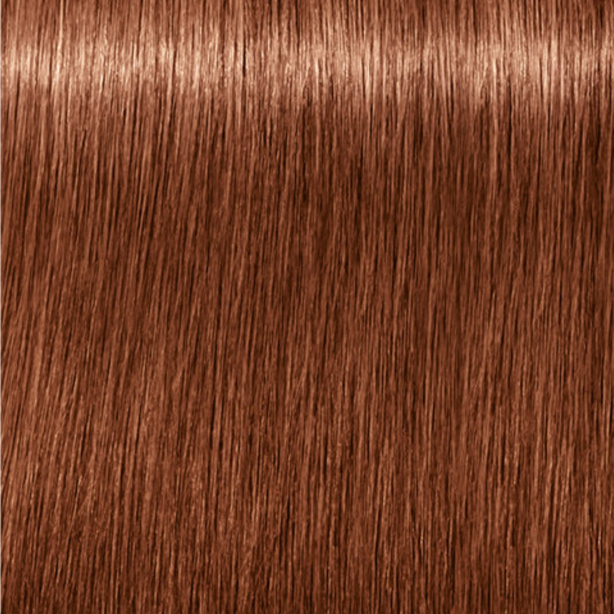 Schwarzkopf Igora Royal Absolutes Tinte Profesional Permanente 60 ml