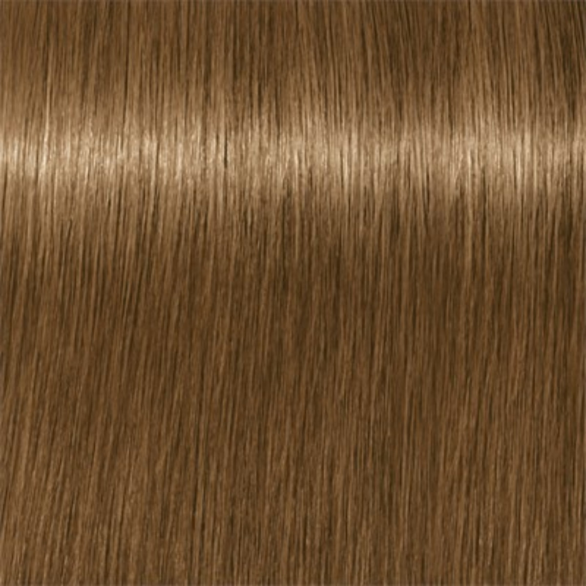 Schwarzkopf Igora Royal Absolutes Tinte Profesional Permanente 60 ml