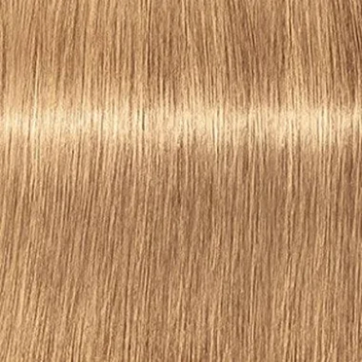 Schwarzkopf Igora Royal Absolutes Tinte Profesional Permanente 60 ml