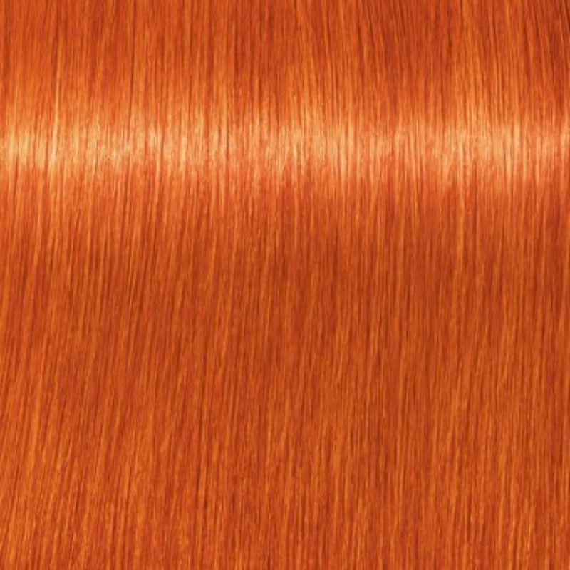Schwarzkopf Igora Royal Tinte Profesional Permanente 60 ml