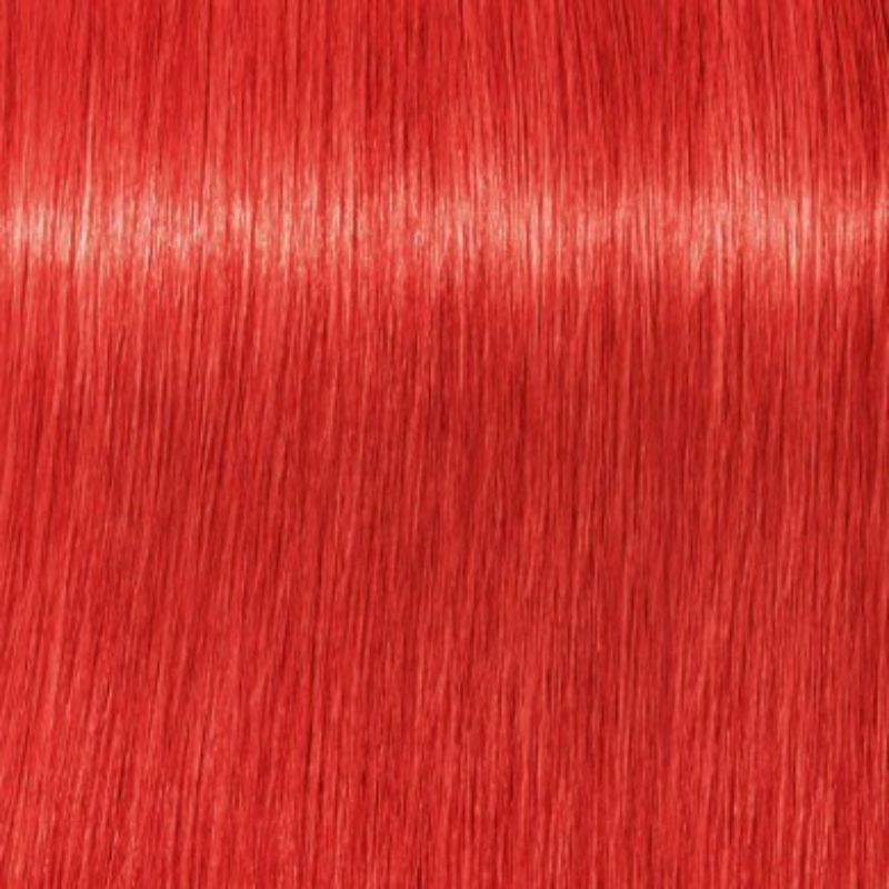 Schwarzkopf Igora Royal Tinte Profesional Permanente 60 ml