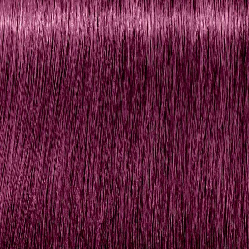 Schwarzkopf Igora Royal Tinte Profesional Permanente 60 ml