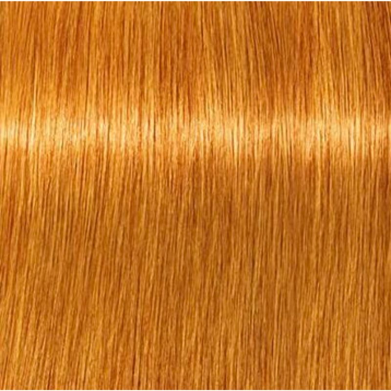 Schwarzkopf Igora Royal Tinte Profesional Permanente 60 ml