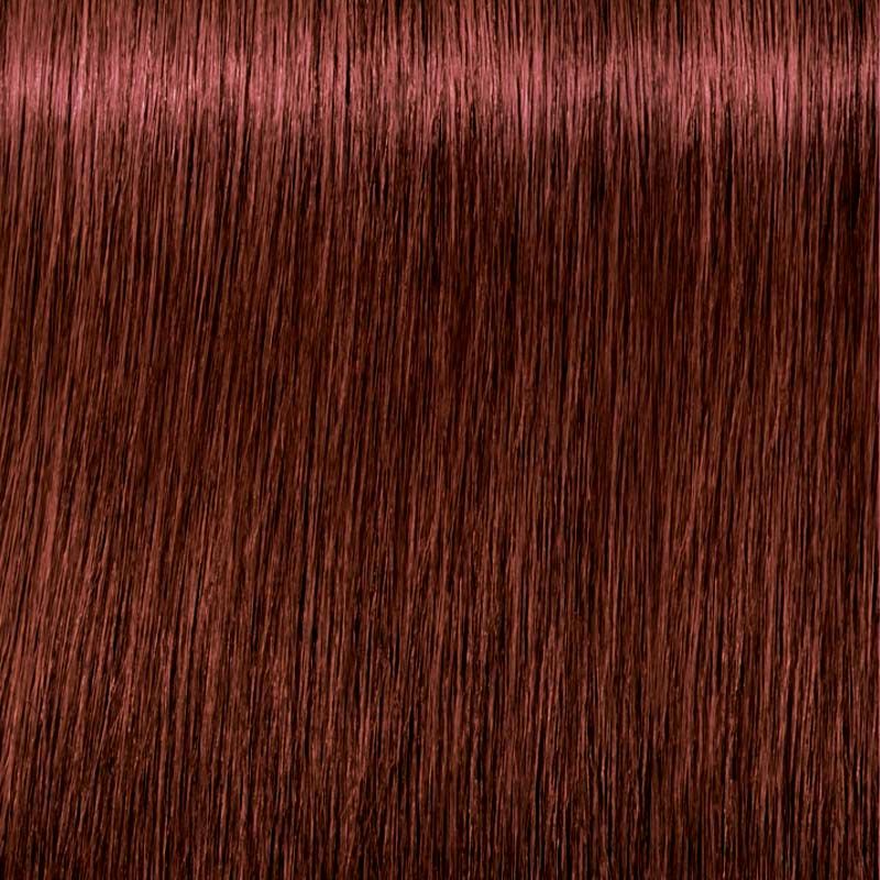 Schwarzkopf Igora Royal Tinte Profesional Permanente 60 ml