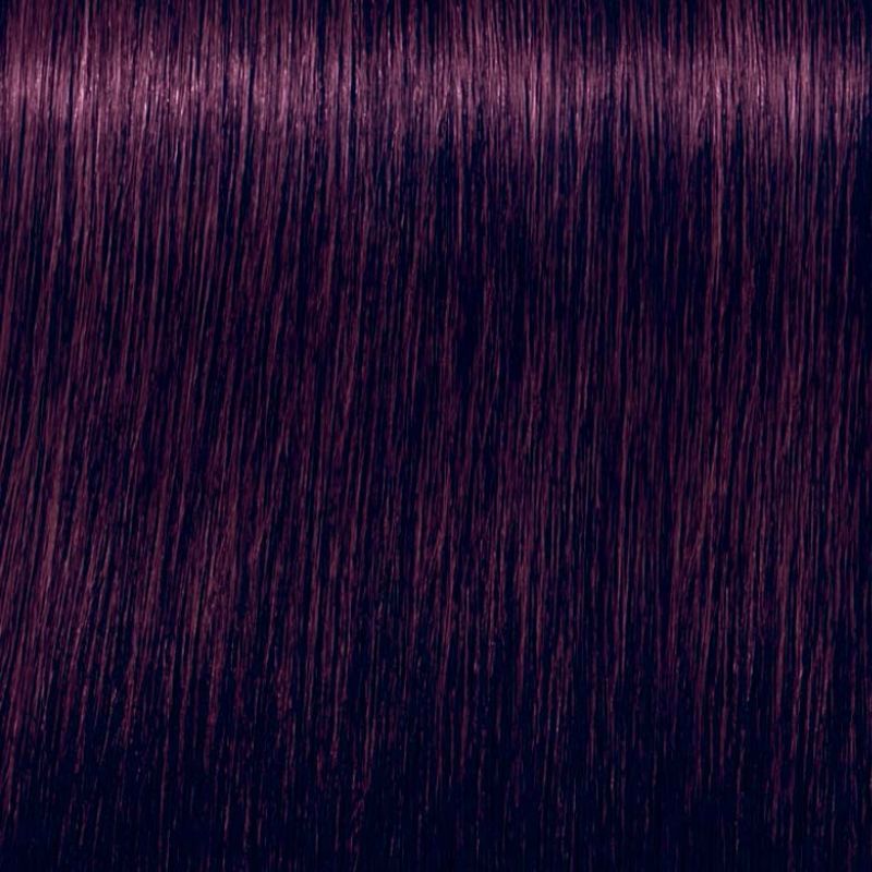 Schwarzkopf Igora Royal Tinte Profesional Permanente 60 ml