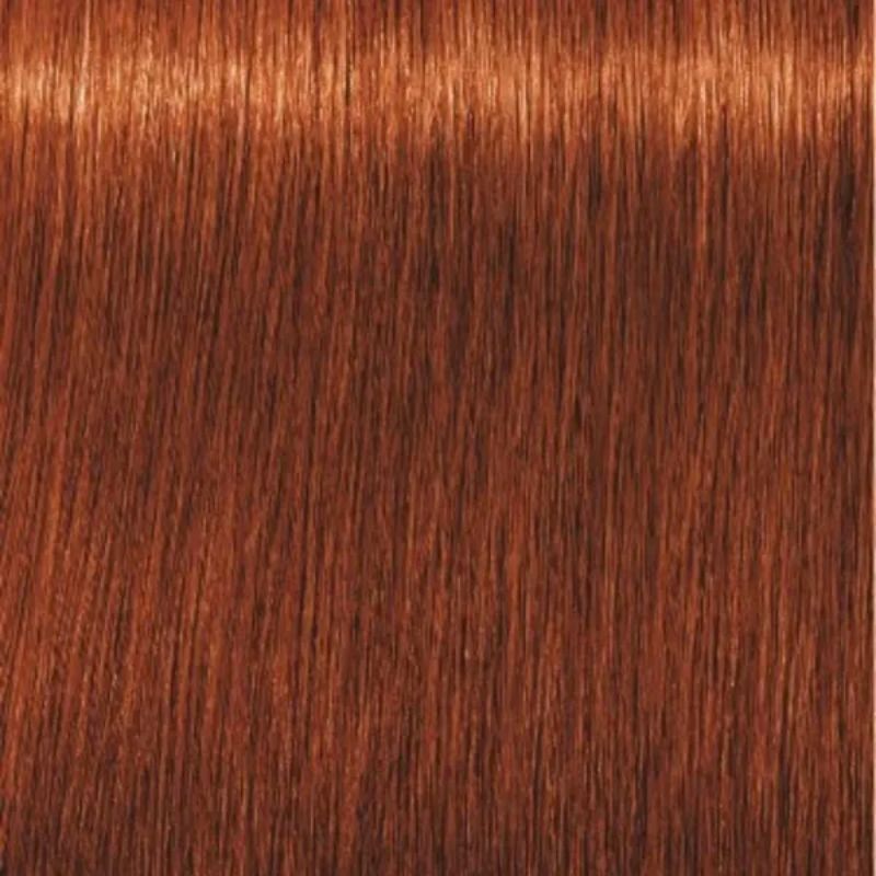 Schwarzkopf Igora Royal Tinte Profesional Permanente 60 ml