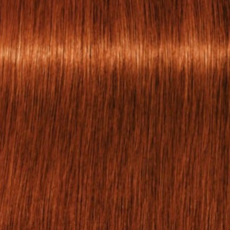Schwarzkopf Igora Royal Tinte Profesional Permanente 60 ml