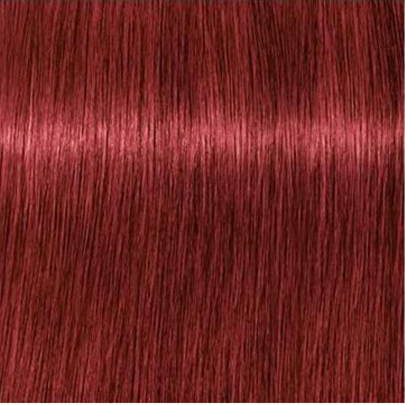Schwarzkopf Igora Royal Tinte Profesional Permanente 60 ml