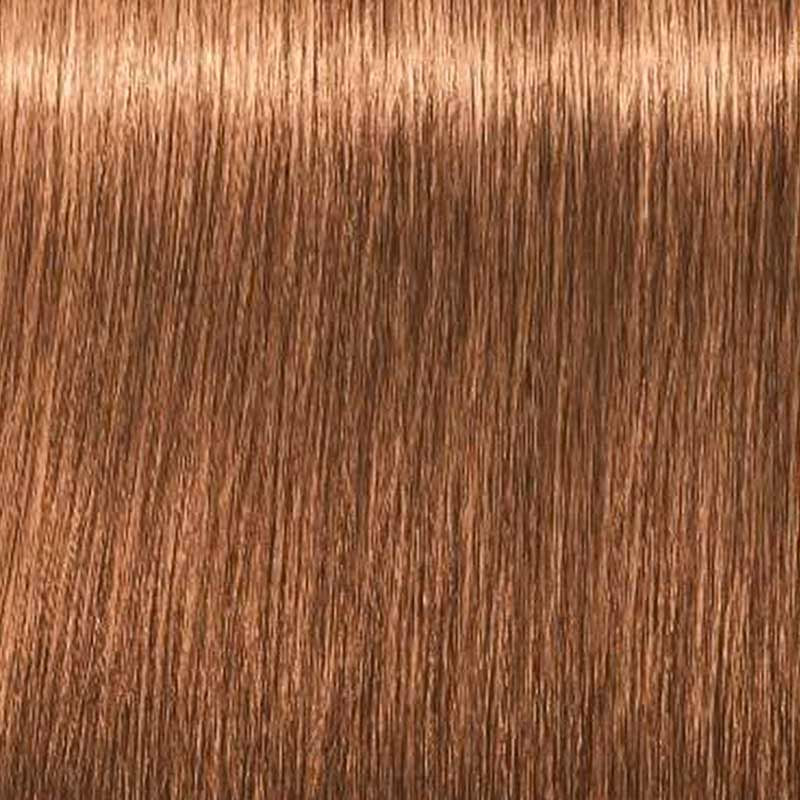 Schwarzkopf Igora Royal Tinte Profesional Permanente 60 ml