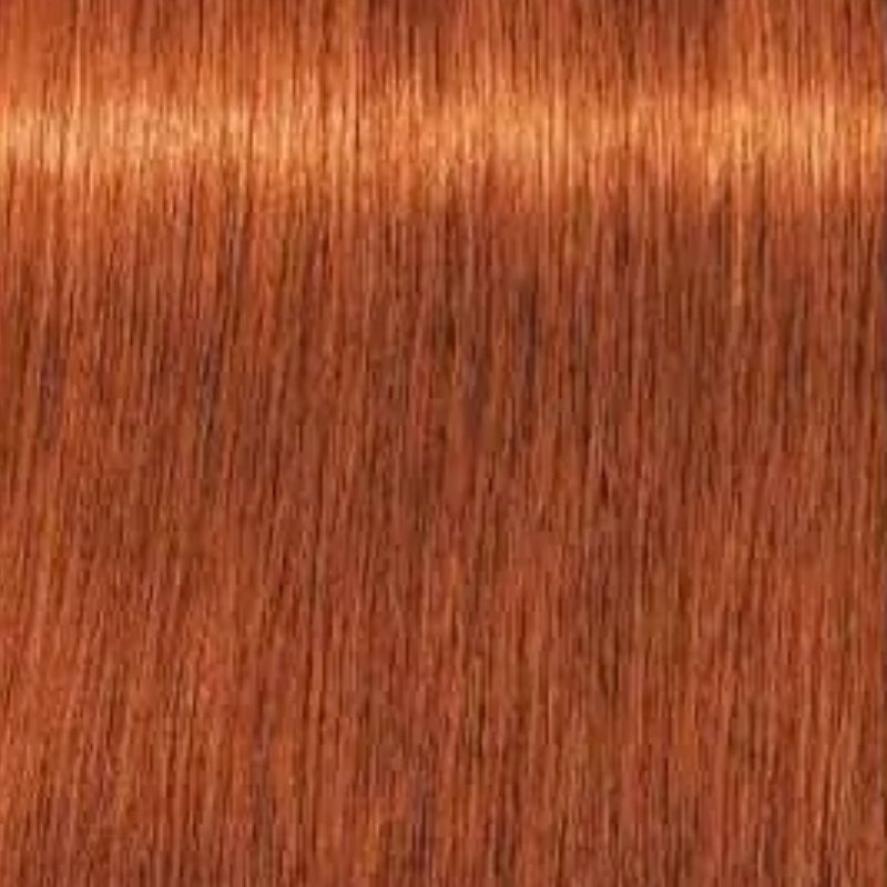 Schwarzkopf Igora Royal Tinte Profesional Permanente 60 ml