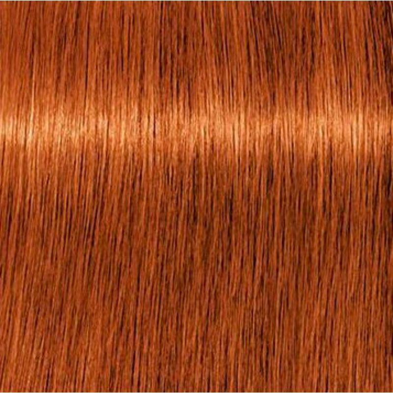 Schwarzkopf Igora Royal Tinte Profesional Permanente 60 ml