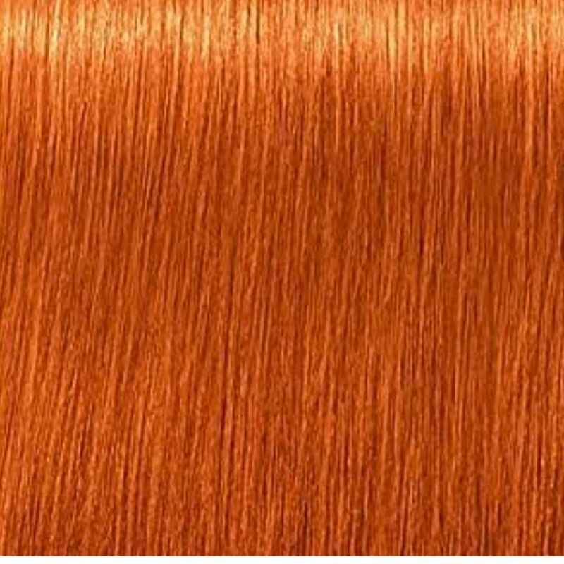 Schwarzkopf Igora Royal Tinte Profesional Permanente 60 ml