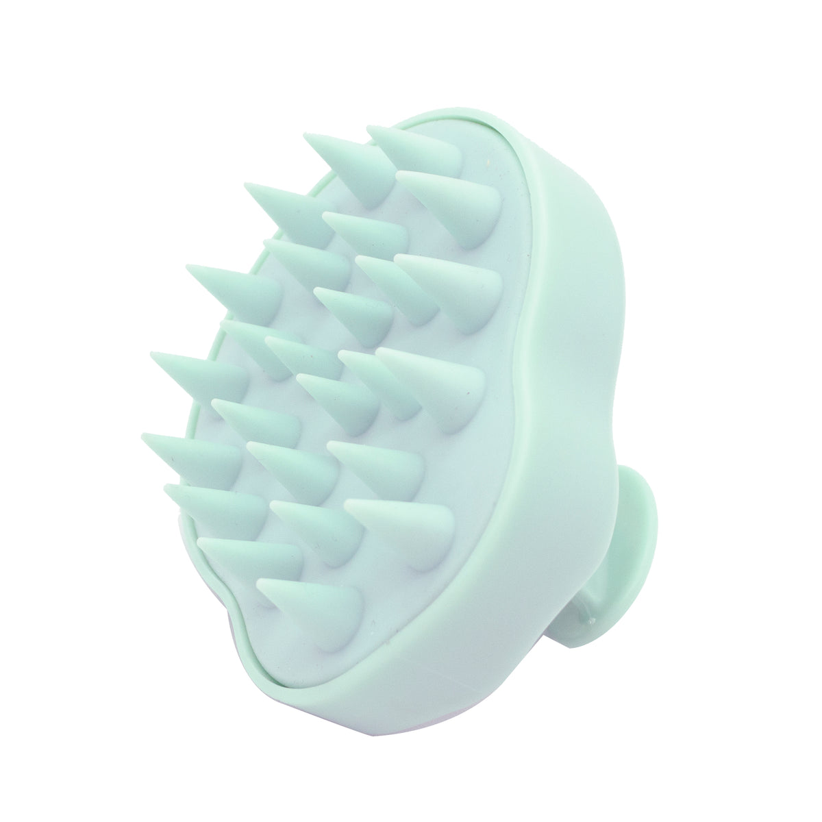 PONETTE CEPILLO EXFOLIANTE CAPILAR VERDE TURQ