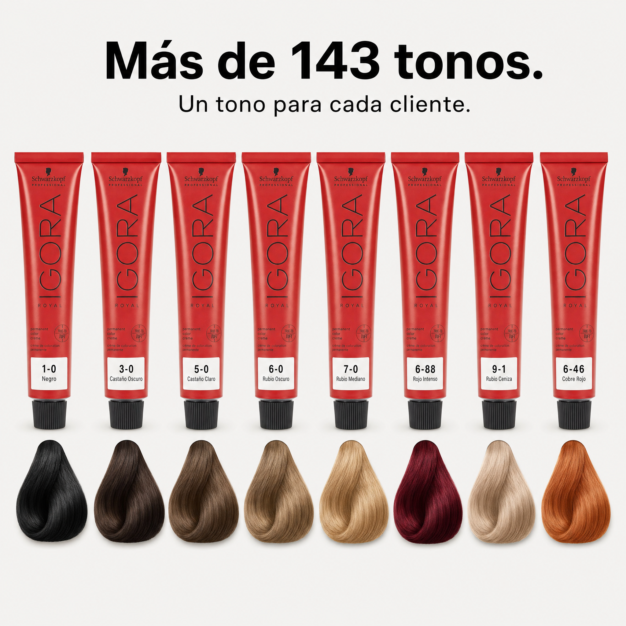 Schwarzkopf Igora Royal Tinte Profesional Permanente 60 ml