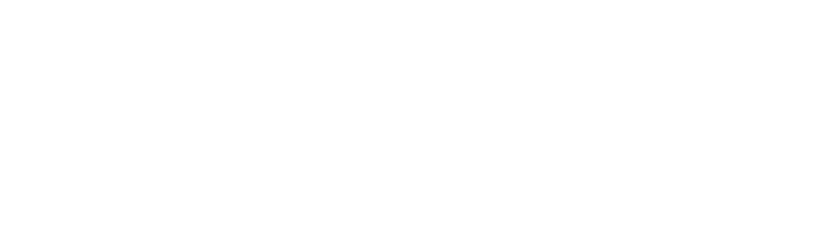 ODARA PROFESSIONAL 
