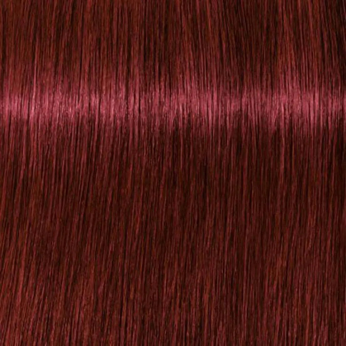 Schwarzkopf Igora Royal Tinte Profesional Permanente 60 ml