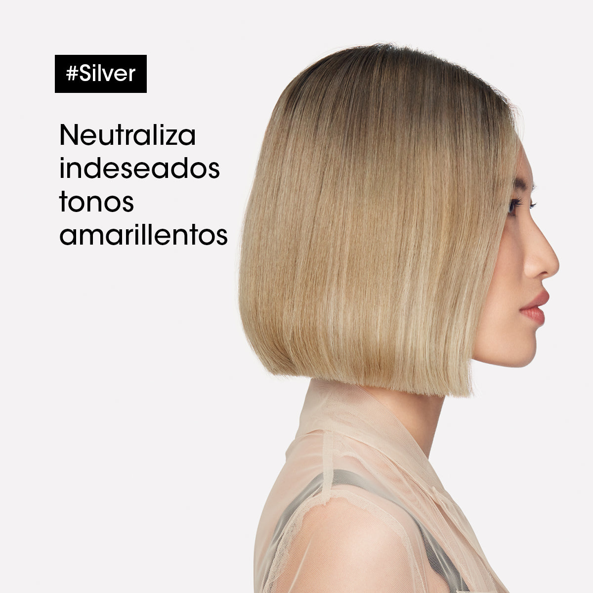 L'Oréal Professionnel Shampoo Silver Serie Expert 500ml