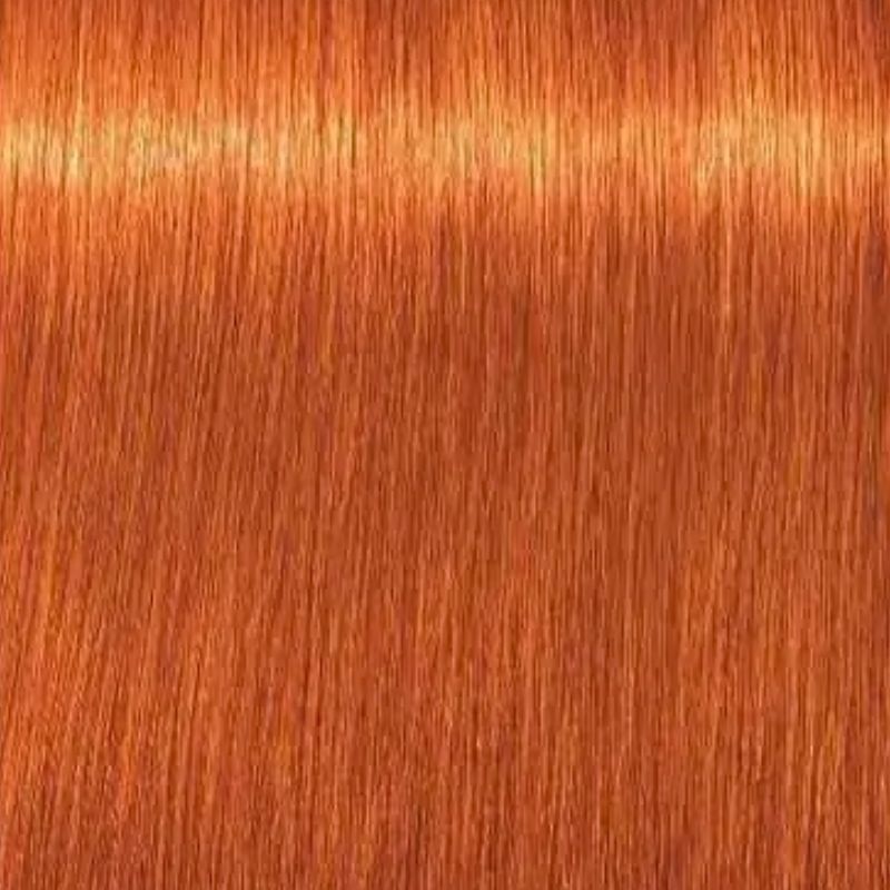 TINTE IGORA ROYAL 60 GR - SCHWARZKOPF