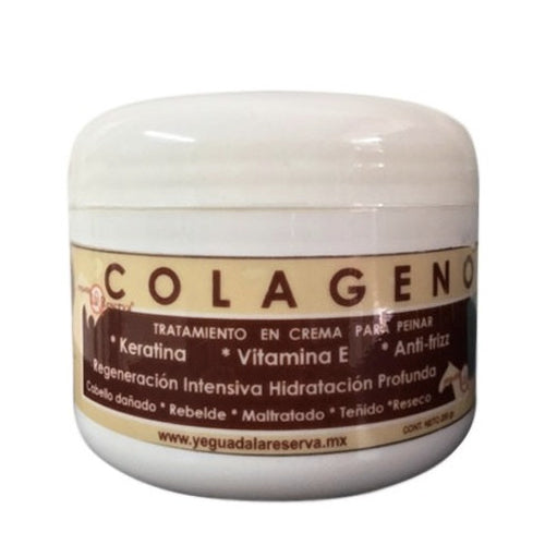 COLAGENO CAPILAR YEGUADA 250G